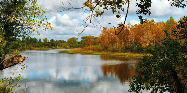 Променлива облачност в четвъртък