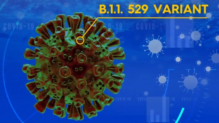 Цените на петрола се сринаха с над 5 на сто заради новия ковид вариант
