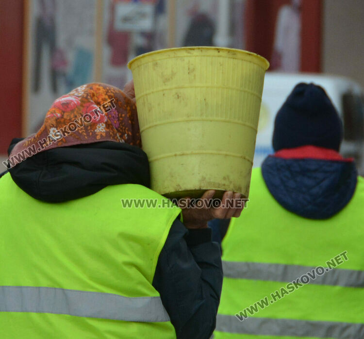 Започна засаждането на новите тополи край реката в Хасково