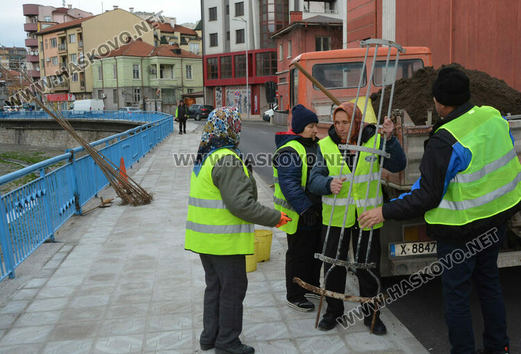 Започна засаждането на новите тополи край реката в Хасково