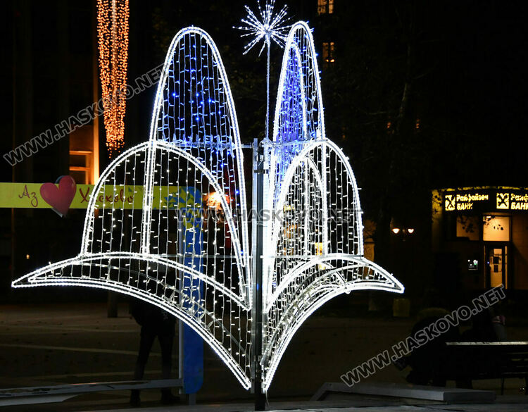 Хасково грейна в коледна украса