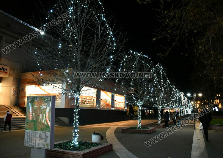 Хасково грейна в коледна украса