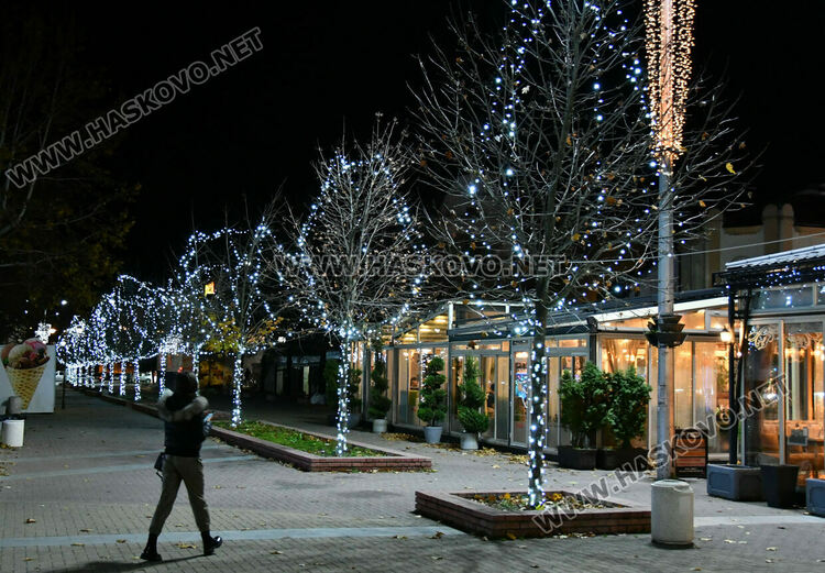 Хасково грейна в коледна украса