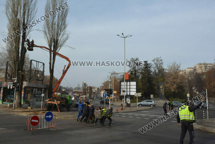 Резитбата на тополите затрудни движението до Зеленчуковия пазар в Хасково