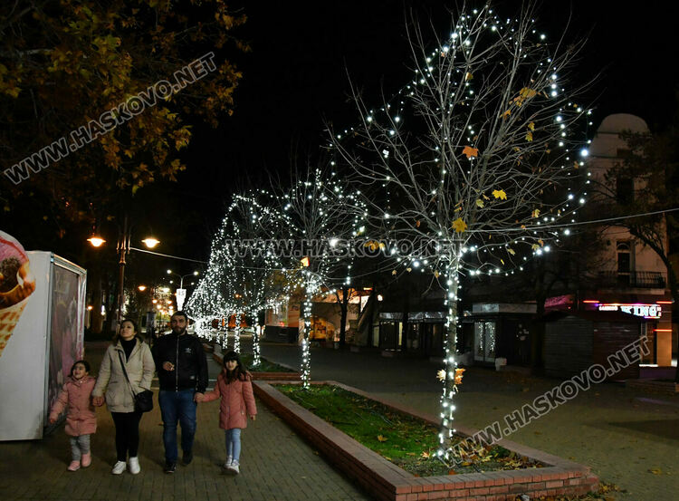 Хасково грейна в коледна украса