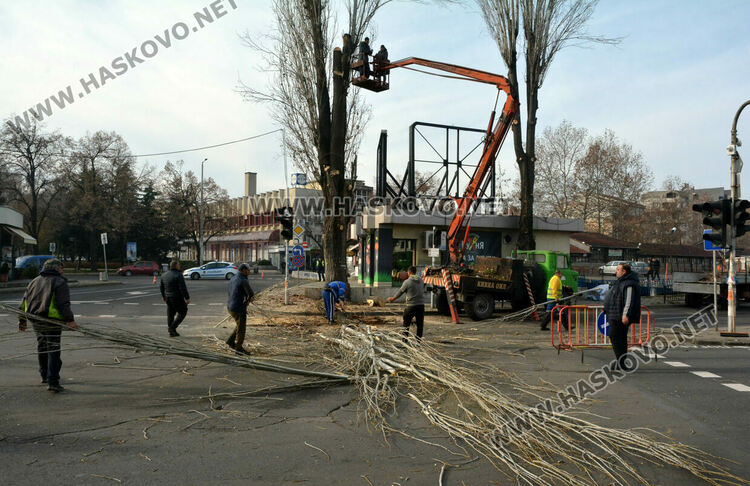 Резитбата на тополите затрудни движението до Зеленчуковия пазар в Хасково