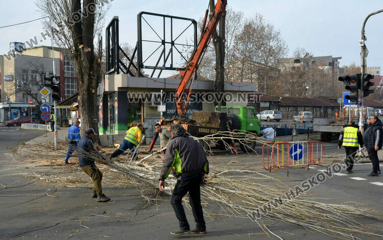 Резитбата на тополите затрудни движението до Зеленчуковия пазар в Хасково
