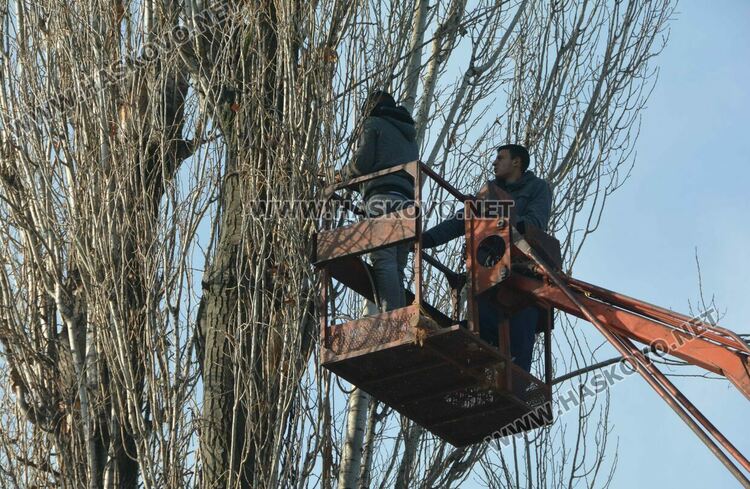Резитбата на тополите затрудни движението до Зеленчуковия пазар в Хасково