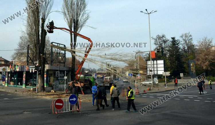 Резитбата на тополите затрудни движението до Зеленчуковия пазар в Хасково