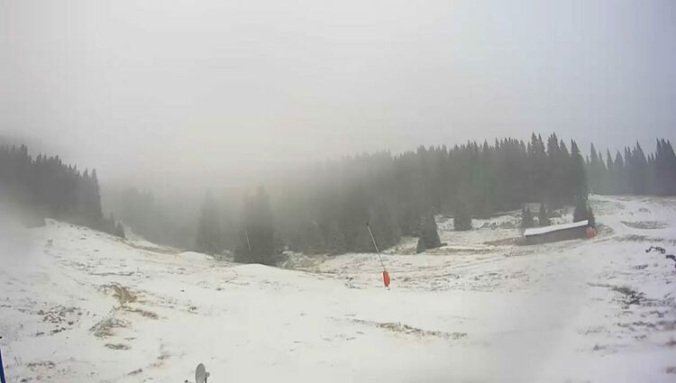 Зимата дойде! Сняг вали по проходите в региона