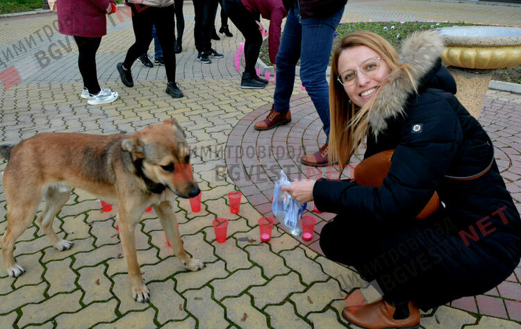 Огненочервена панделка грейна в Димитровград в подкрепа на Световния ден за борба със СПИН