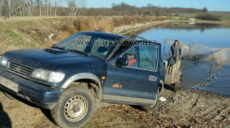 Скок в цената на живата риба на едро преди Никулден