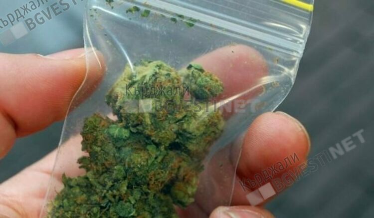 Задържаха двама млади мъже с дрога при специализирана операция в областта