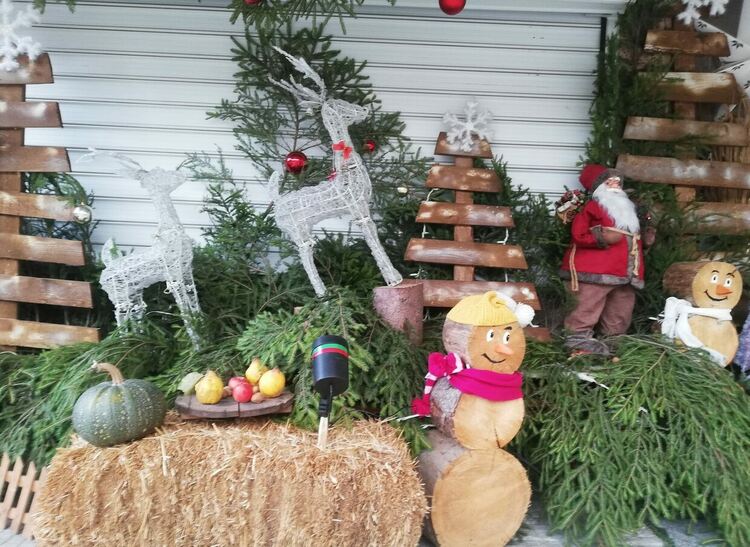 Красива коледна украса грее отново пред кметството в Момчиловци