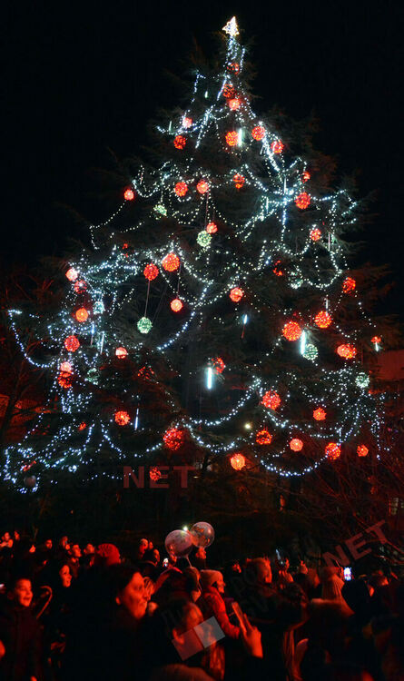 С фойерверки и коледно настроение грейна Коледното дърво в Димитровград