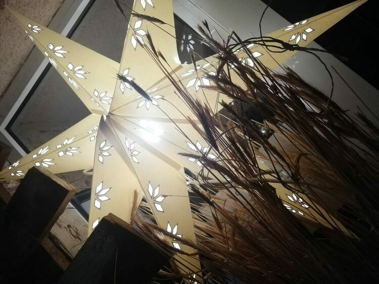 Красива коледна украса грее отново пред кметството в Момчиловци