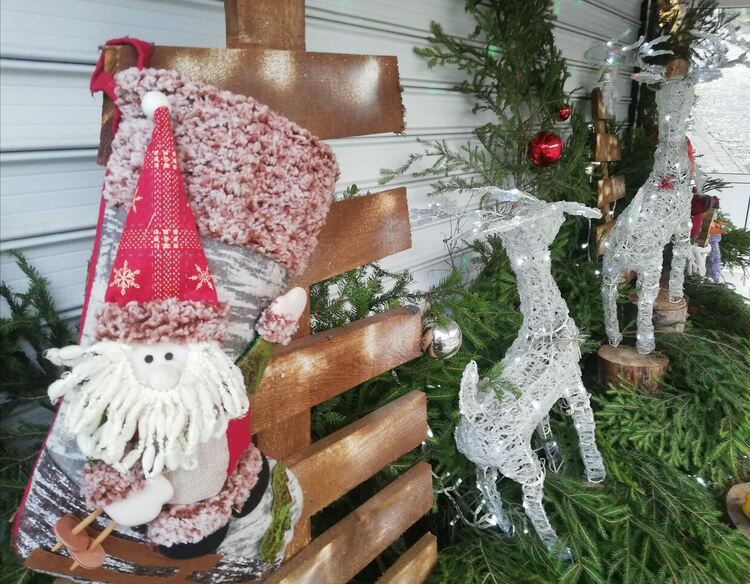 Красива коледна украса грее отново пред кметството в Момчиловци