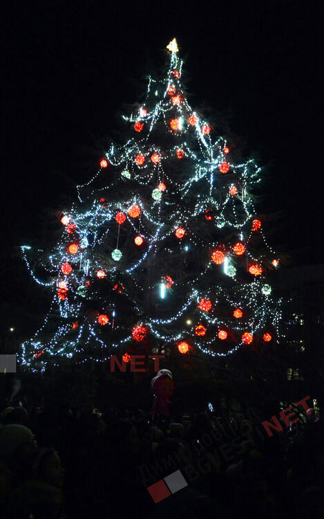 С фойерверки и коледно настроение грейна Коледното дърво в Димитровград