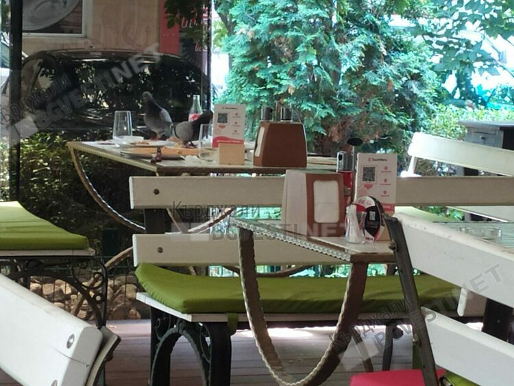 В навечерието на Коледа и Нова година се търсят кадри за хотелиерството  и ресторантьорството в Кърджали