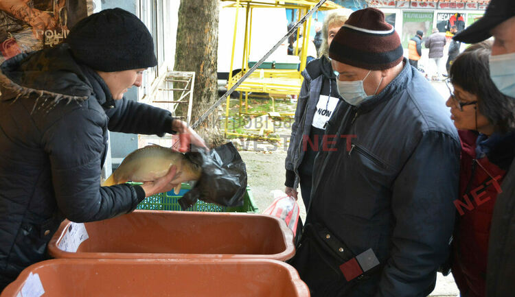 Никулден е, извиха се опашки пред сергиите за риба на Неделен пазар в Димитровград
