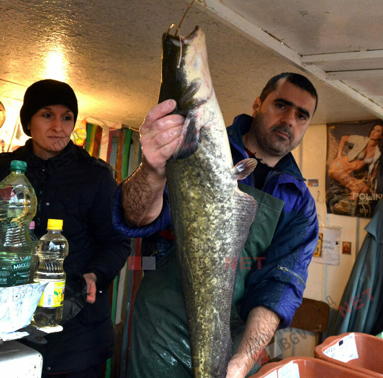 Никулден е, извиха се опашки пред сергиите за риба на Неделен пазар в Димитровград