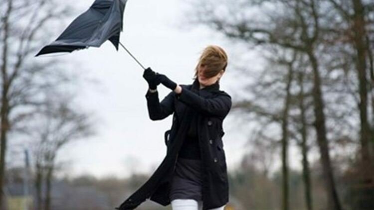 Жълт код за вятър в Хасковско на Никулден