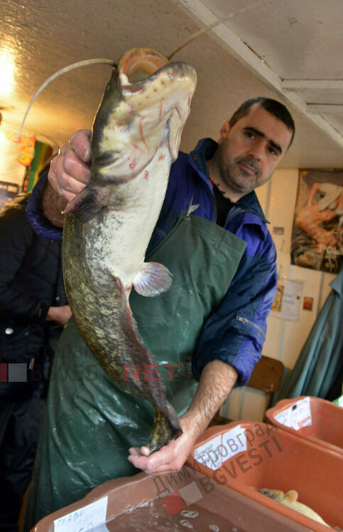 Никулден е, извиха се опашки пред сергиите за риба на Неделен пазар в Димитровград