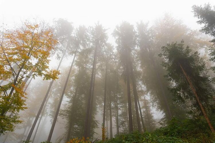 Облачно, в равнините мъгливо