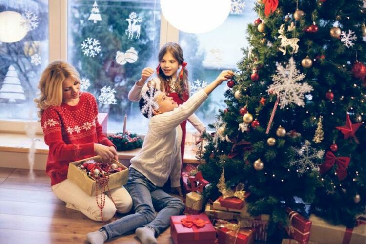 Рекорд за най-много коледни елхи на едно място в Германия