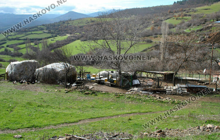 В Сърница събират подписка в подкрепа на Бейсим 