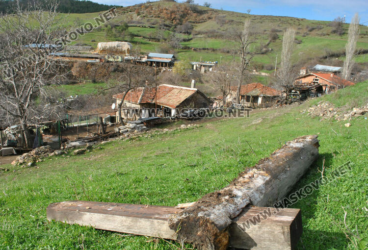 В Сърница събират подписка в подкрепа на Бейсим 