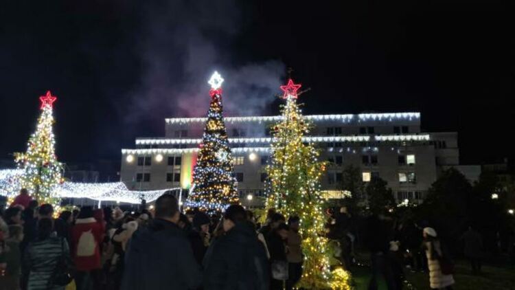 С пищно тържество и заря грейнаха светлините на коледната елха в Кърджали