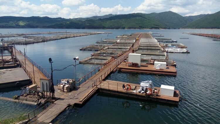 Охранител на садките в яз.”Кърджали” изчезна мистериозно,  предполага се , че се е удавил