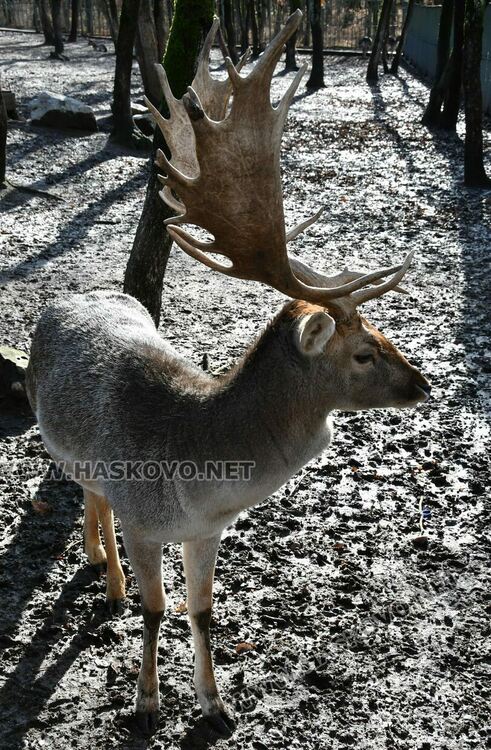 Оживление на “Кенана” в последния топъл есенен ден