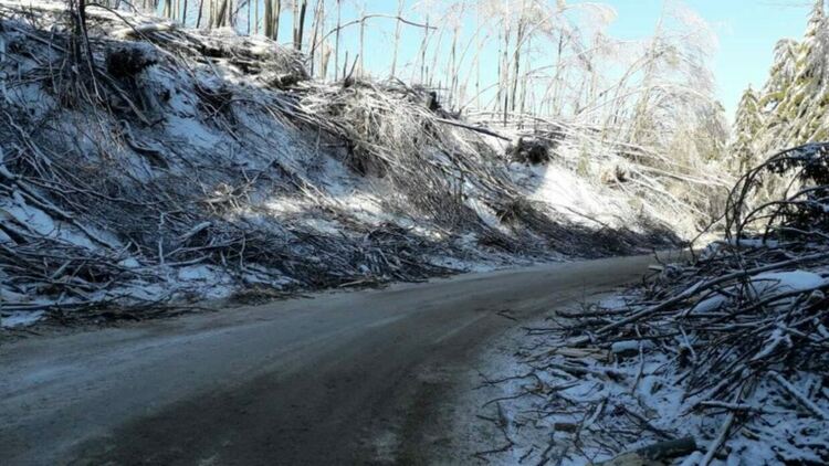 Лошото време създаде проблеми по пътищата в страната