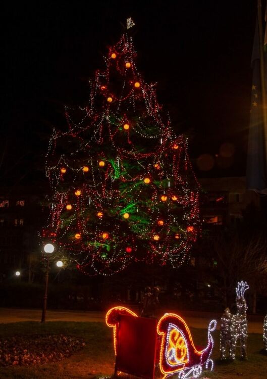 Детски и младежки център с предизвикателство към малки и големи димитровградчани