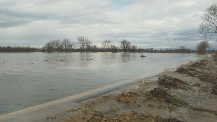 Десетки декари със селскостопанска продукция са под вода в община Садово