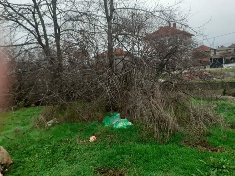 Неизвестен е изхвърлил чували с животински отпадъци в близост до дерето