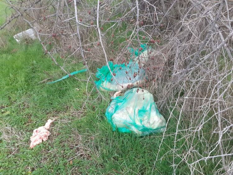 Неизвестен е изхвърлил чували с животински отпадъци в близост до дерето