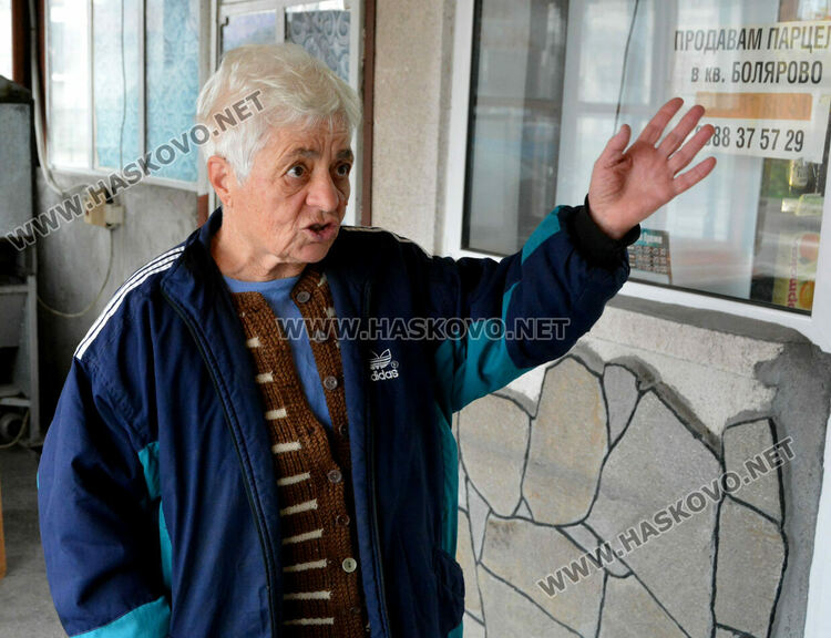 Жители на "Болярово" недоволстват от глутница кучета край Психодиспансера