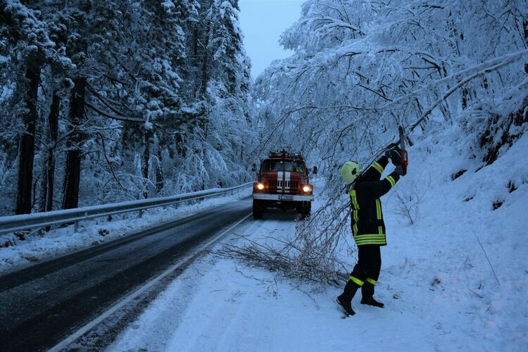 Паднали дървета по пътя Кърджали – Ардино в района на „Белите брези“