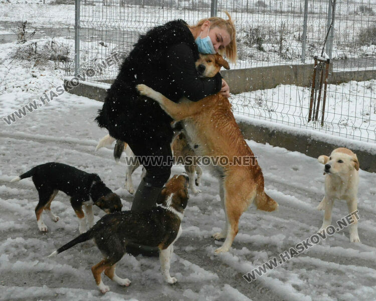 Диана Топалова