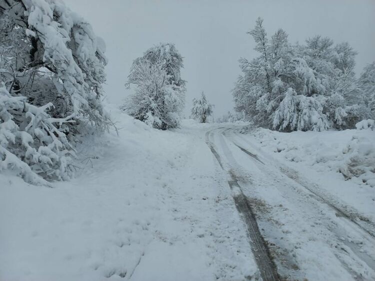 До 60 сантиметра сняг в планинските райони в Асеновградско
