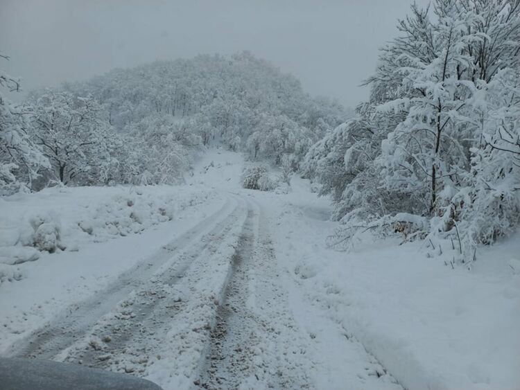До 60 сантиметра сняг в планинските райони в Асеновградско