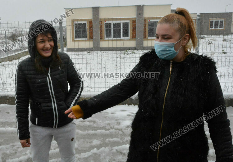 Зоодоброволци: Кучетата в „Болярово“ не са агресивни, но трябва контрол за ограничаване на популацията