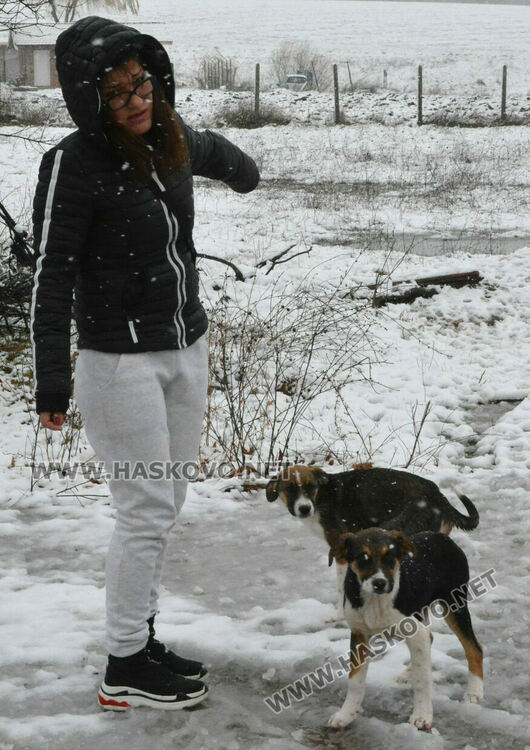 Дора Иванова