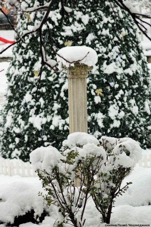 снимка: Пенко Чешмеджиев