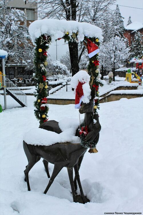 снимка: Пенко Чешмеджиев