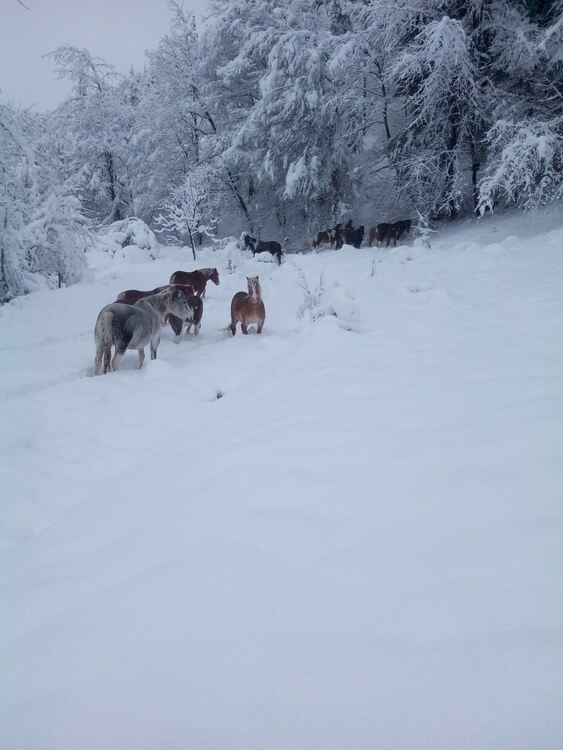 снимка:Андон Андонов
