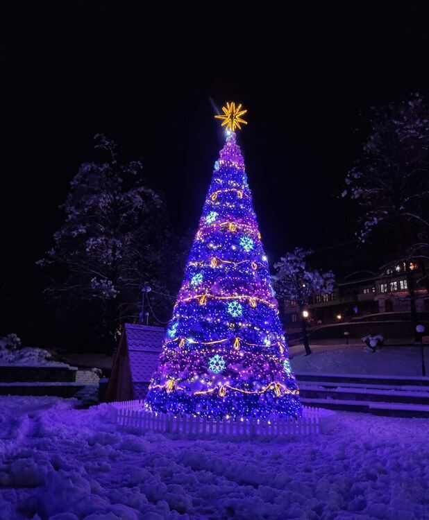 снимка:Даниела Миланова